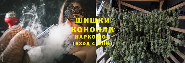 соль ск Няндома