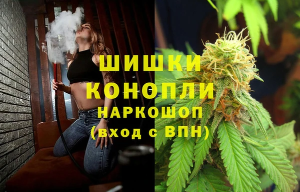 гидропоника Осинники