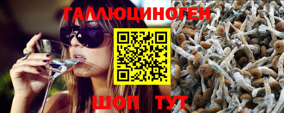Истра  Галлюциногенные грибы Magic Shrooms  Вход с VPN  Галлюциногенные грибы Cubensis 