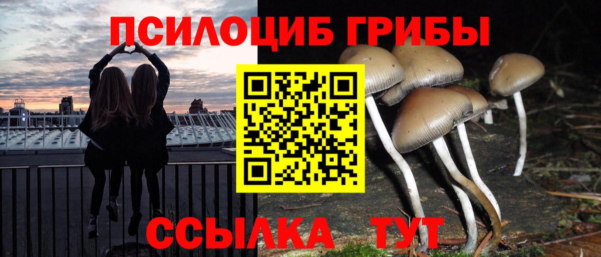 Псилоцибиновые грибы Psilocybe Истра
