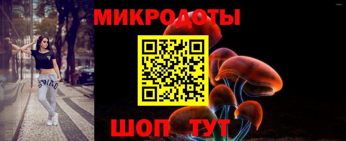 Галлюциногенные грибы мицелий  Истра  Псилоцибиновые грибы Magic Shrooms 